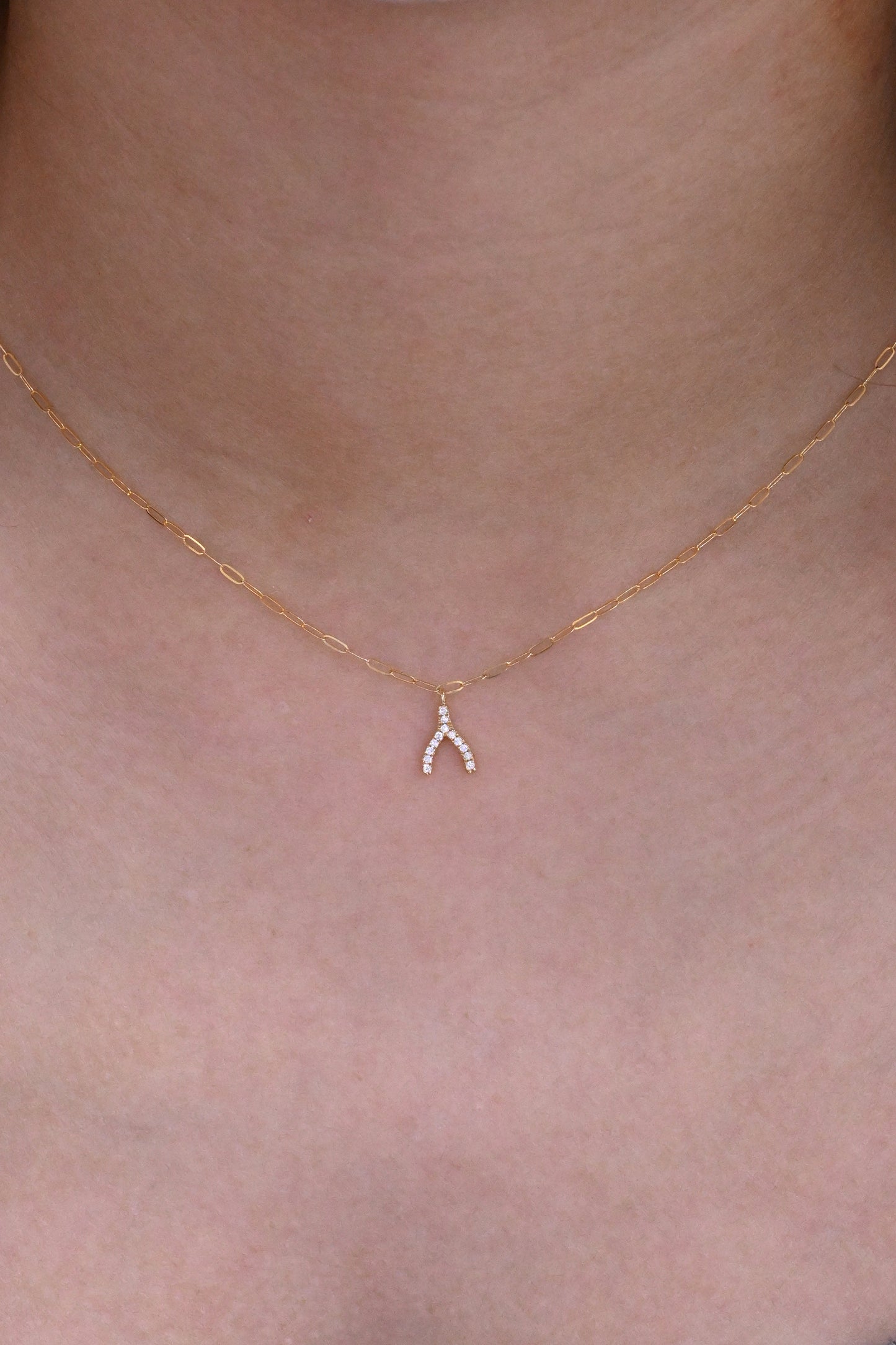 Joanna Diamond Necklace